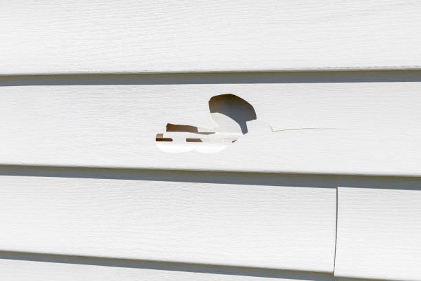 Affordable siding repair and maintenance services in Lake Mills, WI